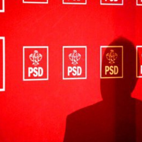 PSD face apel la PNL pentru maturitate politică