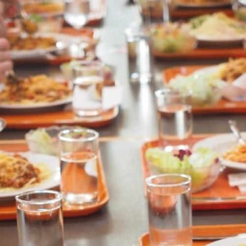 Primăriile din Olt încep licitațiile pentru cateringul elevilor