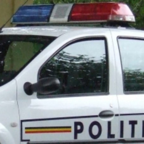 Doi bărbați din Slatina reținuți pentru furt calificat