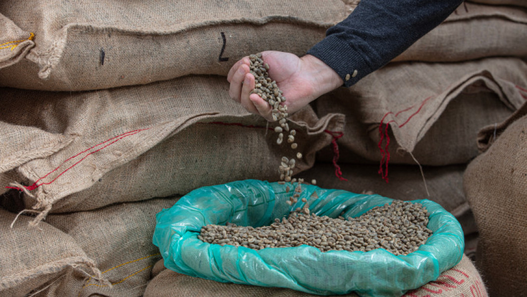 Furturile de cafea verde cresc în Statele Unite
