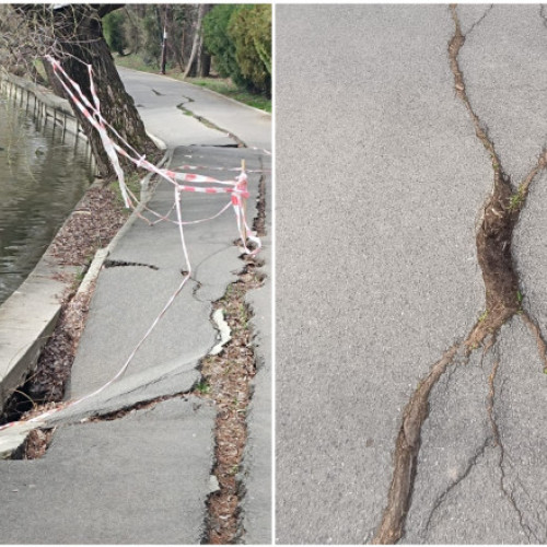 Probleme în Parcul Regele Mihai - Herăstrău: alei surpate și pericole pentru vizitatori