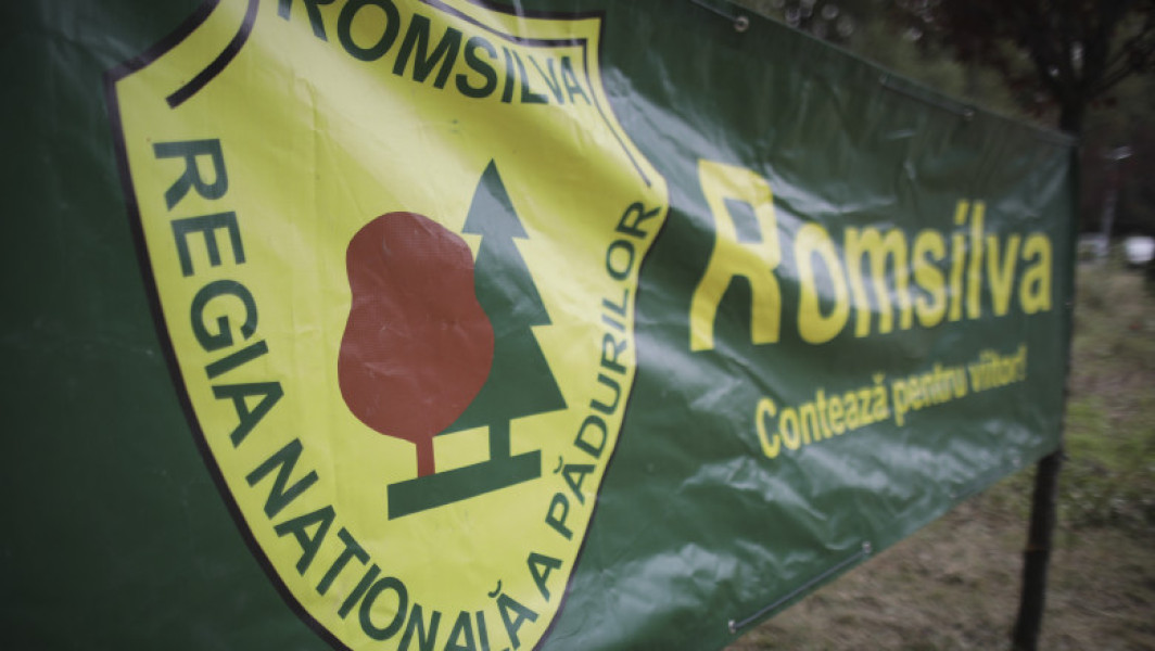 Guvernul ia măsuri împotriva bonusurilor nejustificate de la Romsilva