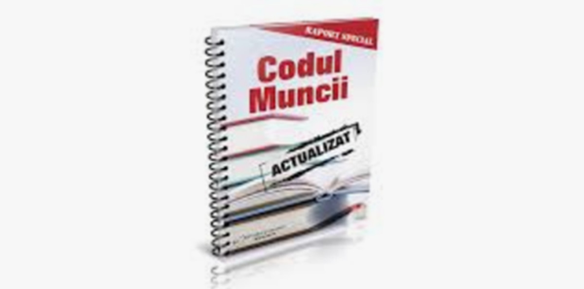 Parlamentul aprobă extinderea muncii de acasă pentru părinții cu copii în handicap
