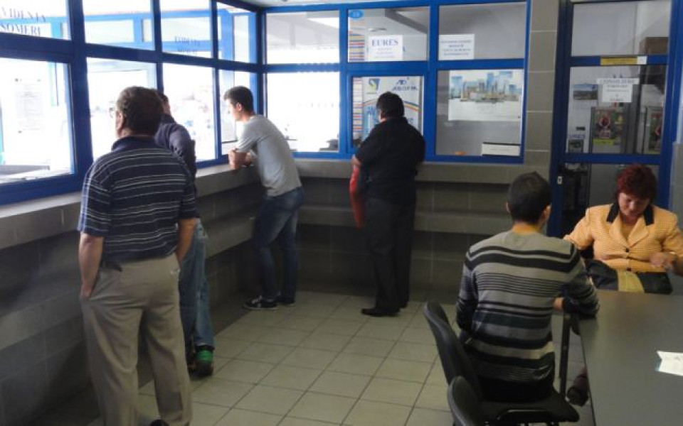 Agenția pentru ocuparea forței de muncă Olt organizează cursuri gratuite în octombrie