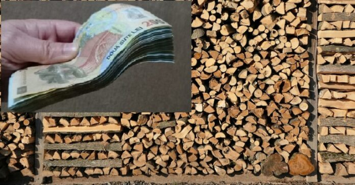 Creștere semnificativă a prețului lemnelor de foc în România din cauza majorării TVA