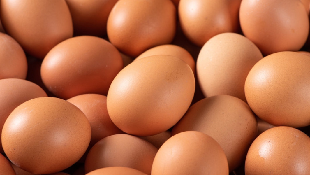 Retragere de ouă bio din supermarketuri după risc de Salmonella