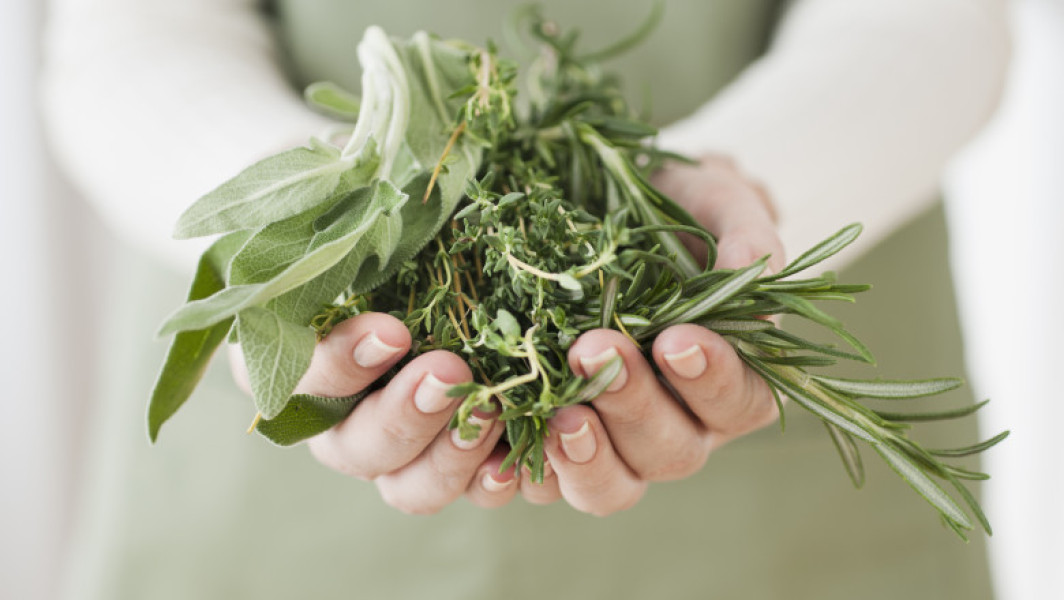 Cimbrul, planta aromatică cu multiple beneficii pentru sănătate și proprietăți antimicrobiene