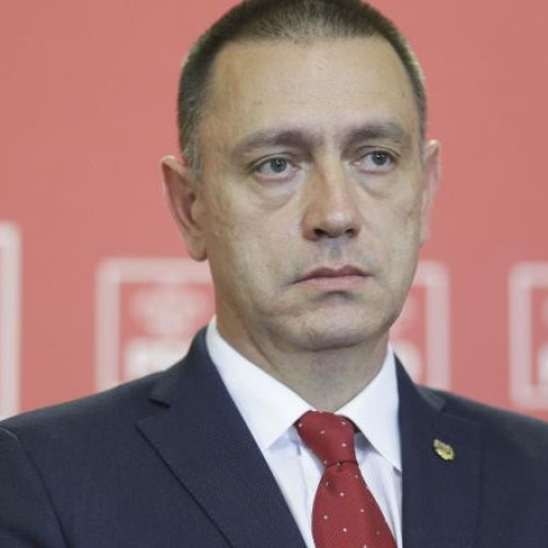 Mihai Fifor îl acuză pe ministrul Diana Buzoianu că blochează proiecte strategice pentru România