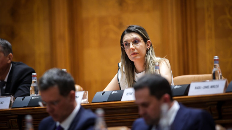 Moţiunea simplă împotriva ministrului Mediului, Diana Buzoianu, va fi votată miercuri în Camera Deputaţilor