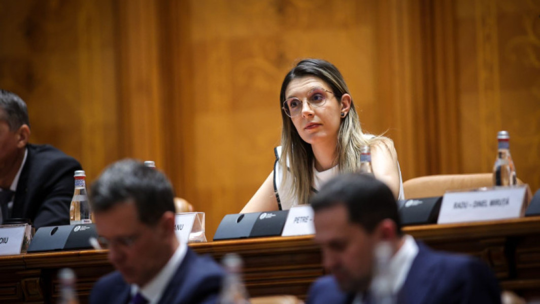 Moţiunea simplă împotriva ministrului Mediului, Diana Buzoianu, va fi votată miercuri în Camera Deputaţilor